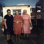 Emma, Gladys, Telia